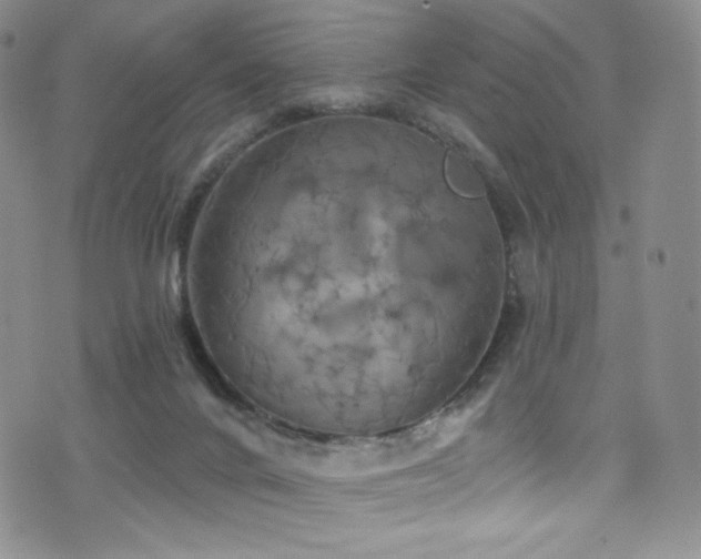 X0000075900024200609151423