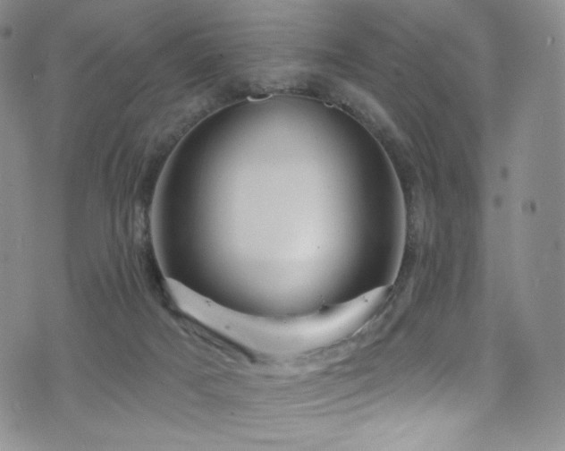 X0000075900025200609151423