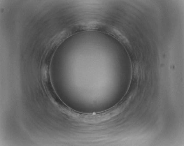 X0000075900026200609151423