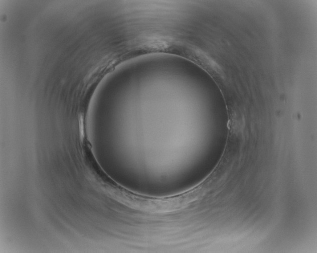 X0000075900027200609151423