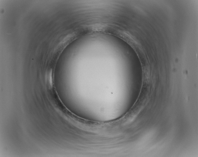 X0000075900028200609151423