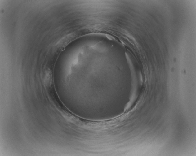 X0000075900029200609151423