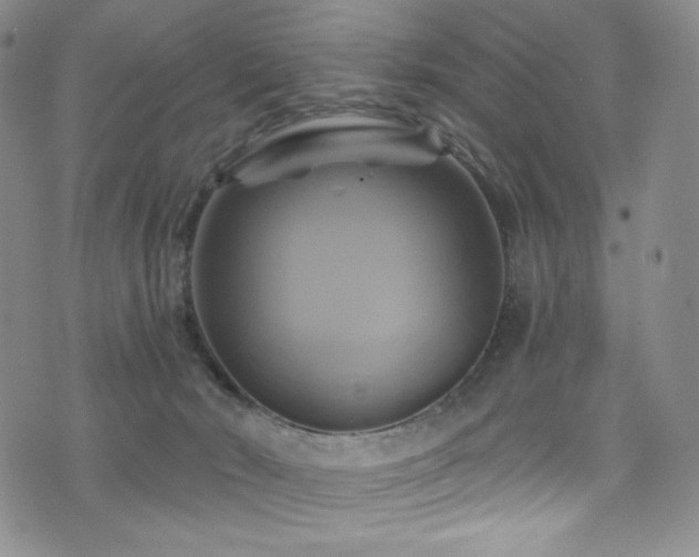 X0000075900030200609151423