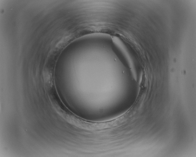 X0000075900031200609151423