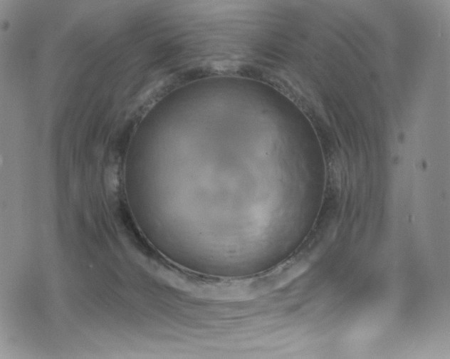 X0000075900032200609151423