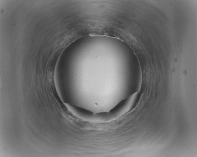 X0000075900033200609151423