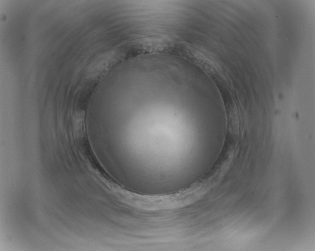 X0000075900034200609151423