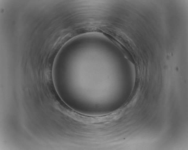 X0000075900035200609151423