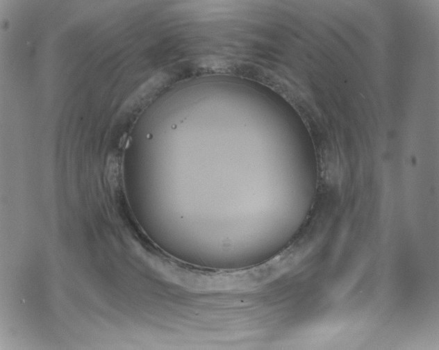 X0000075900036200609151423