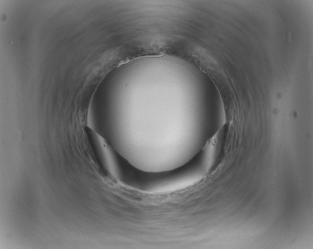 X0000075900037200609151423