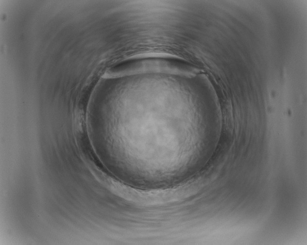 X0000075900038200609151423