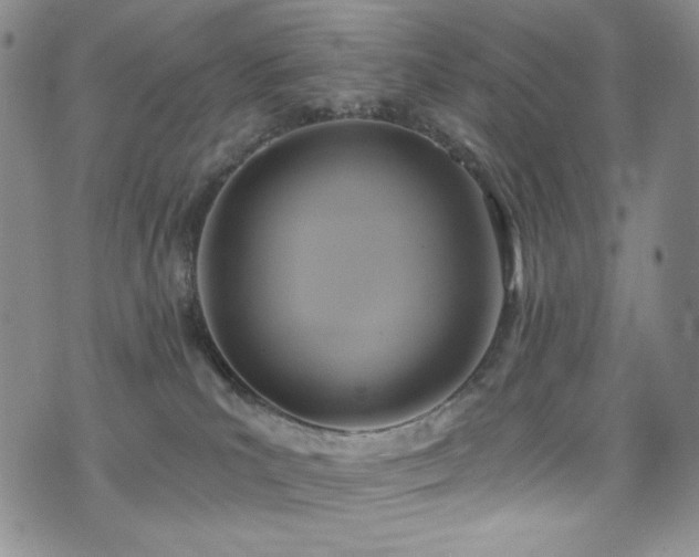 X0000075900039200609151423