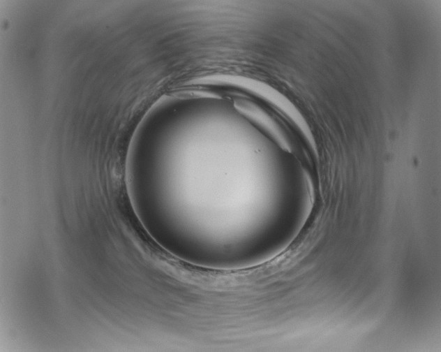 X0000075900040200609151423