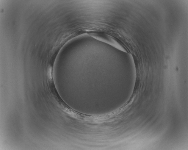 X0000075900041200609151423