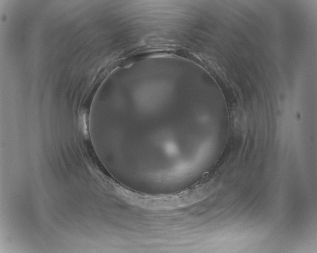 X0000075900042200609151422