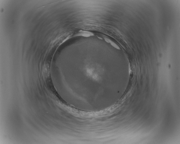 X0000075900043200609151422