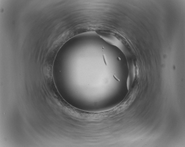 X0000075900044200609151422