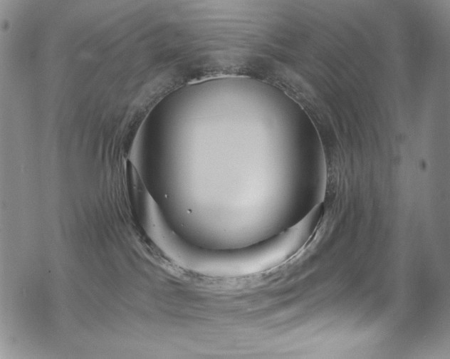 X0000075900045200609151422