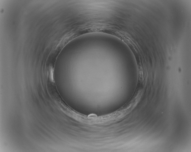 X0000075900046200609151422