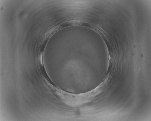 X0000075900047200609151422