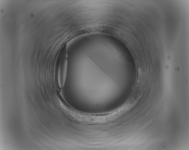 X0000075900048200609151422