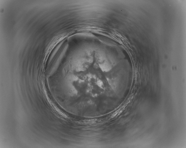 X0000075900049200609151422