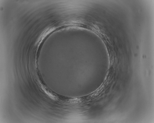 X0000075900050200609151422