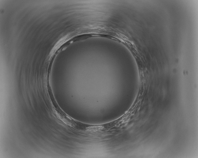 X0000075900051200609151422