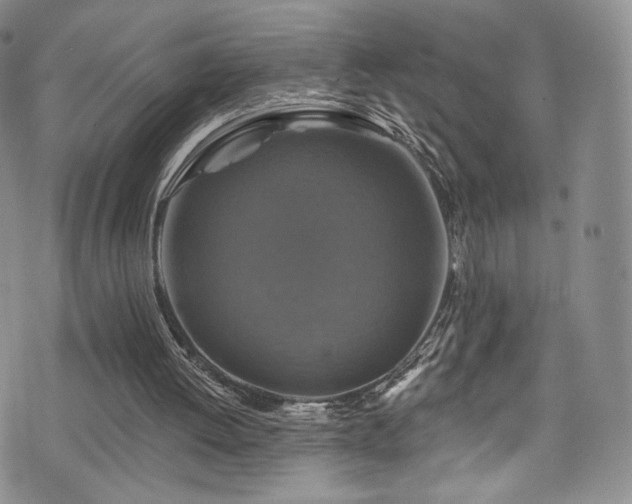 X0000075900052200609151422