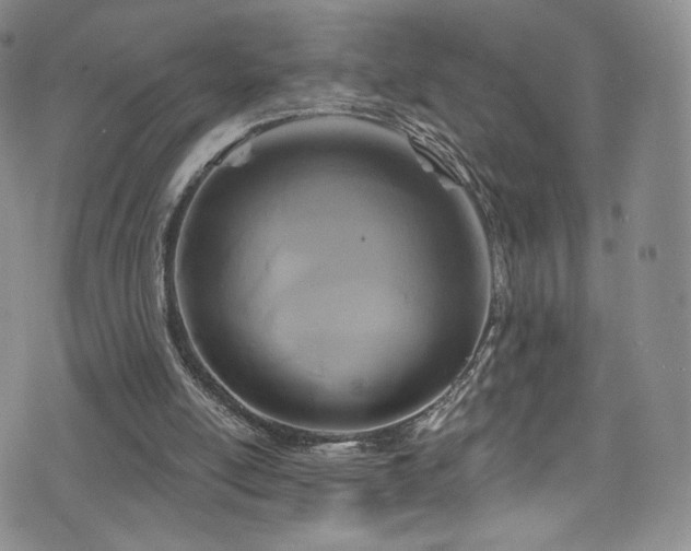 X0000075900054200609151422