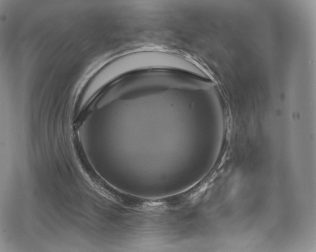 X0000075900055200609151422