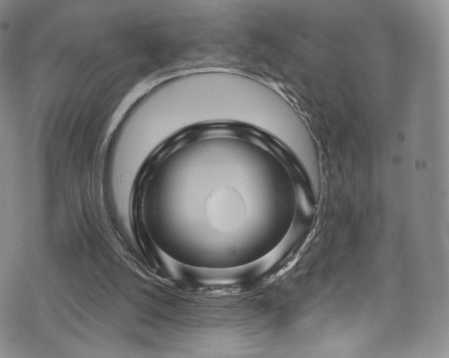 X0000075900056200609151422