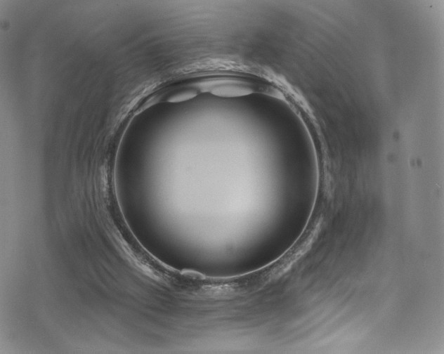 X0000075900057200609151422