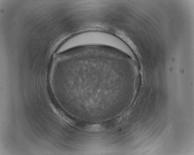 X0000075900058200609151422