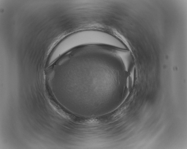 X0000075900059200609151422