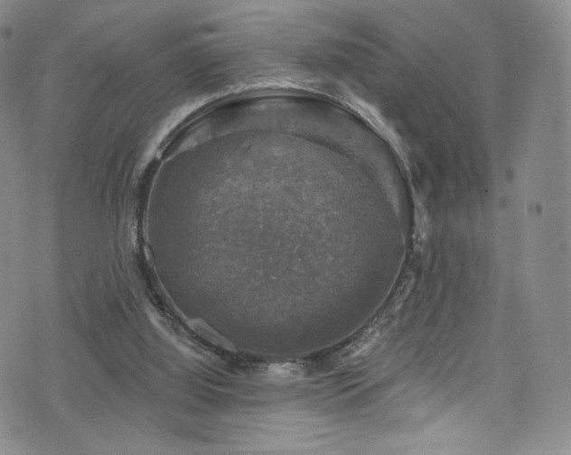 X0000075900060200609151422