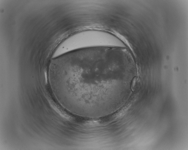 X0000075900061200609151422