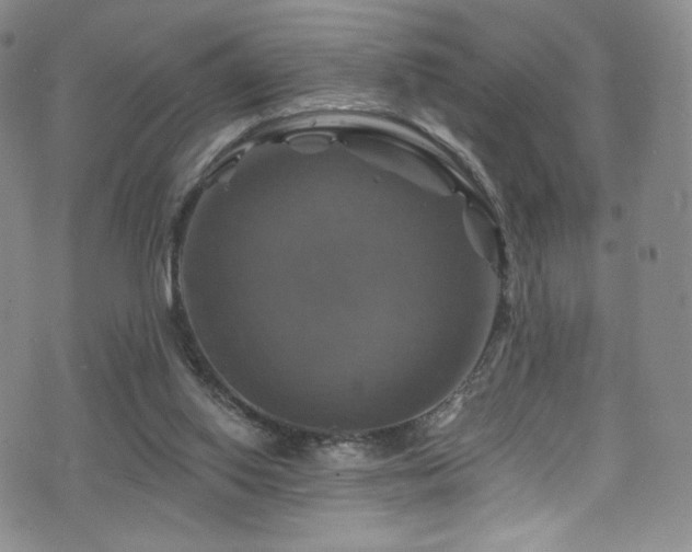 X0000075900062200609151422