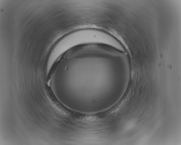 X0000075900063200609151422