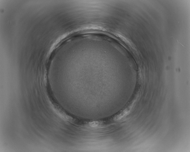 X0000075900064200609151422