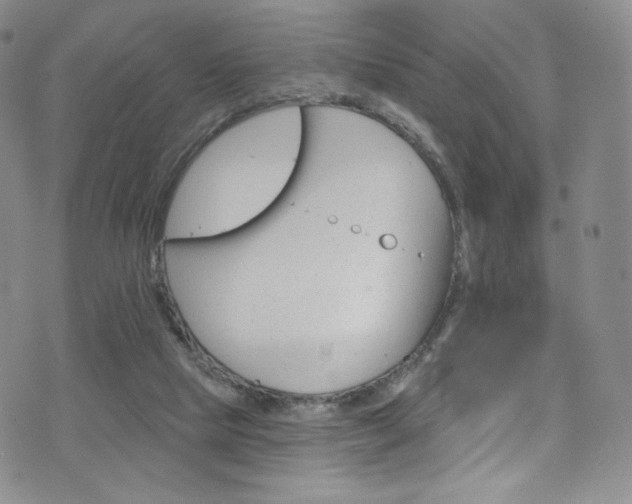 X0000075900065200609151422