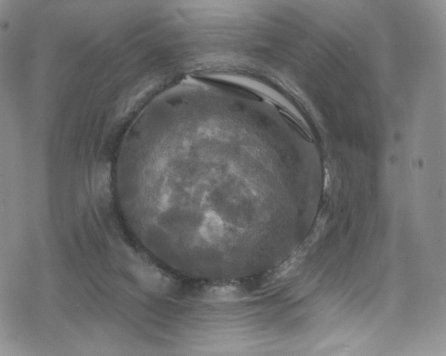 X0000075900066200609151422