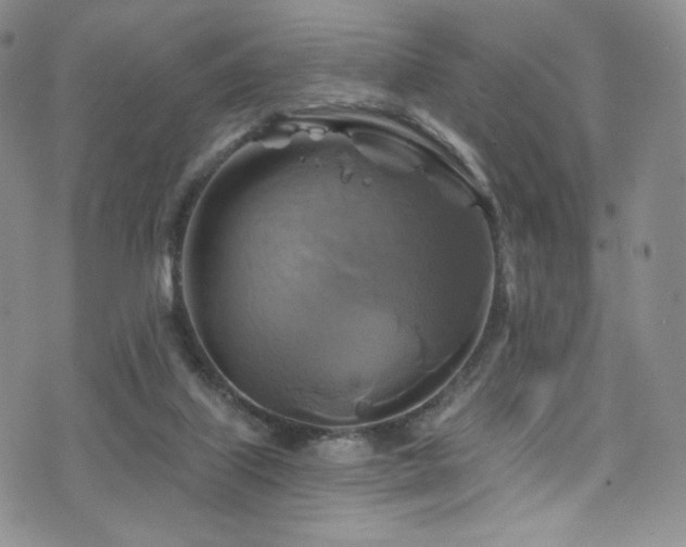 X0000075900067200609151422