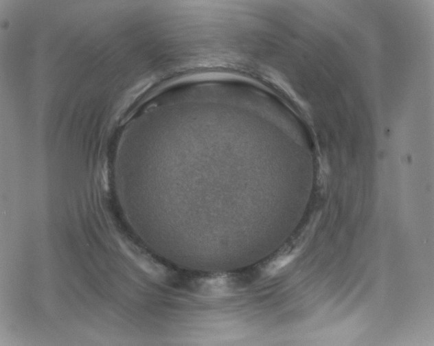 X0000075900068200609151422