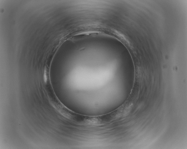 X0000075900069200609151422