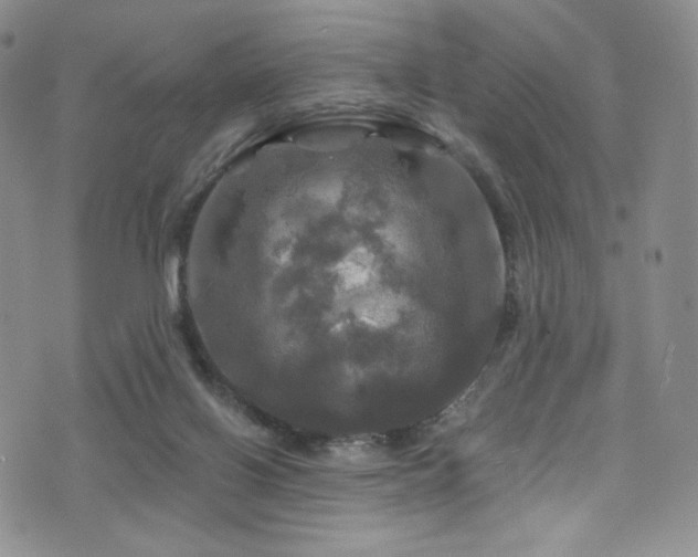 X0000075900070200609151422