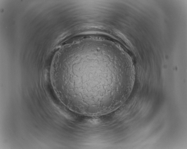 X0000075900071200609151422