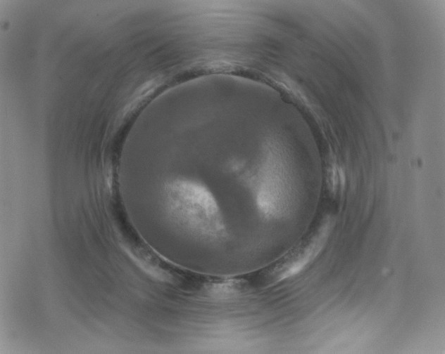 X0000075900072200609151422