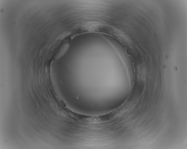 X0000075900073200609151422