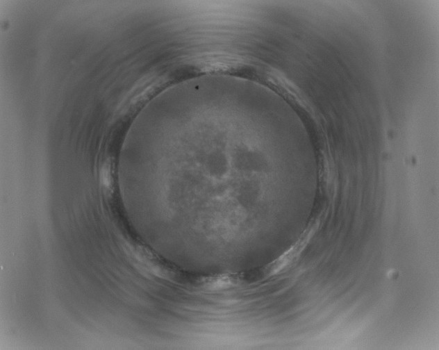 X0000075900074200609151422